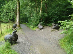 Image on trail